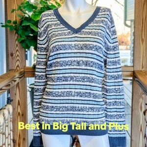 HP🌼Croft & Barrow Navy and White V-Neck Sweater